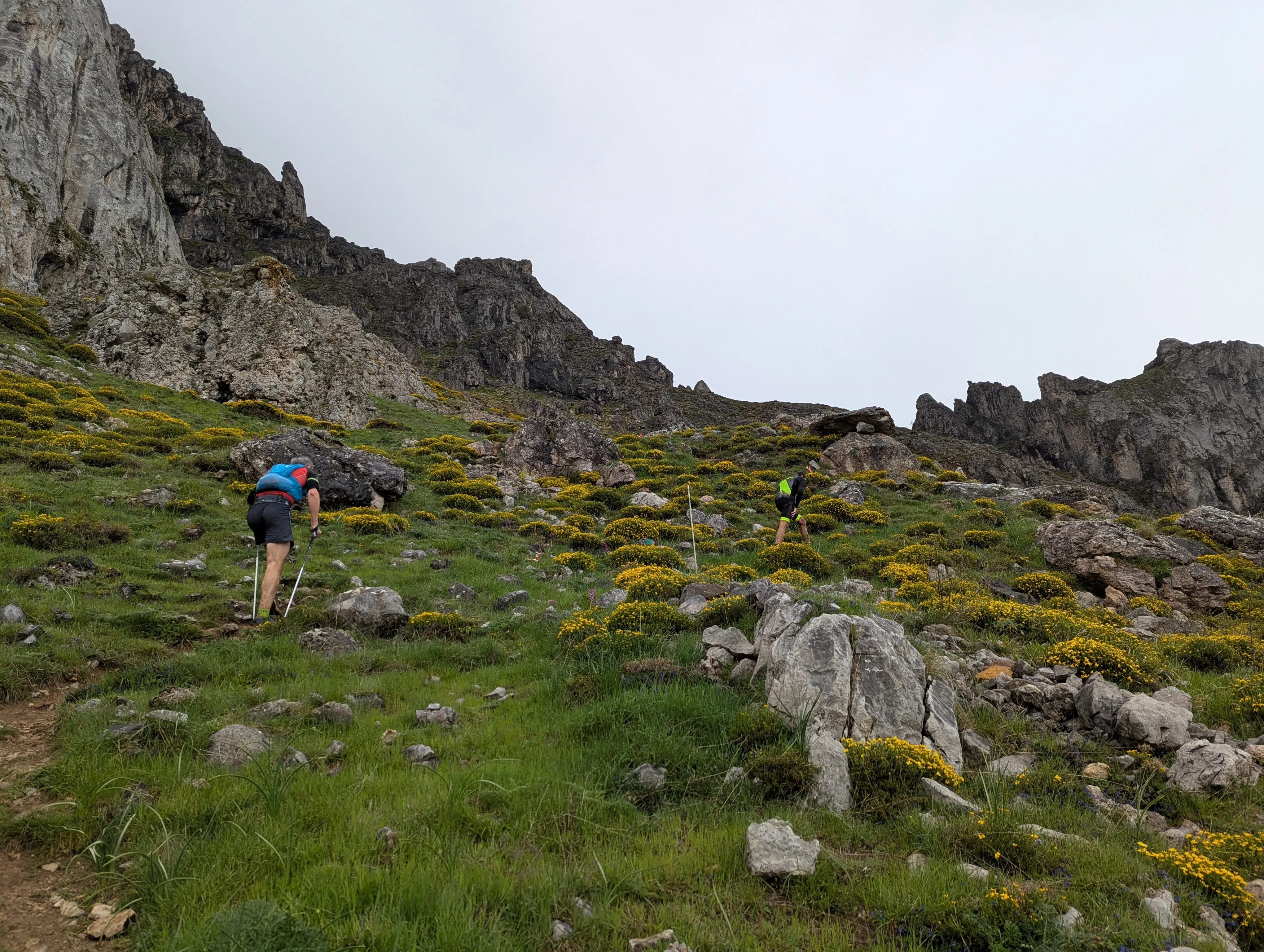 Normativa y material obligatorio