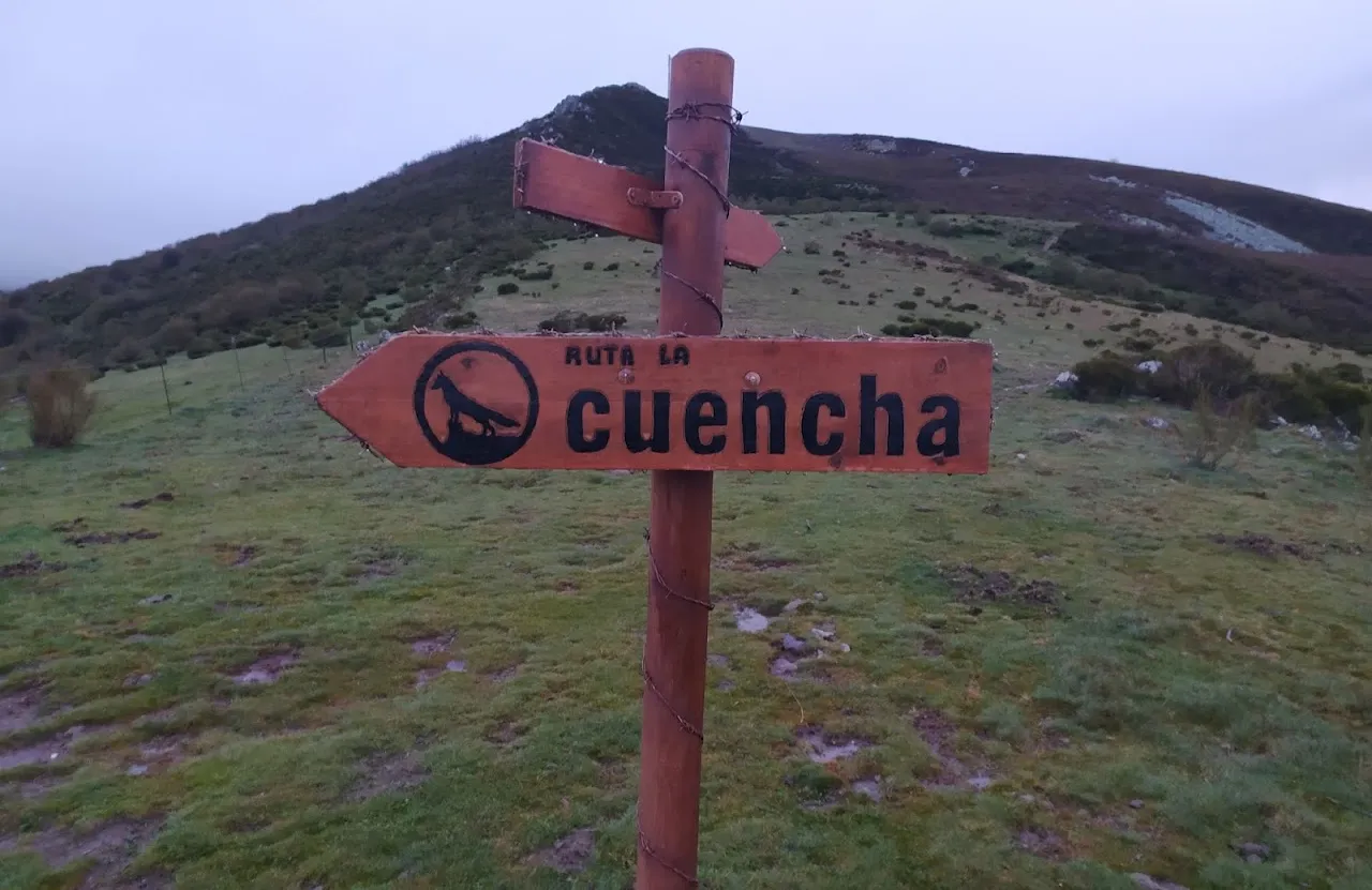 Cartel de la Cuencha